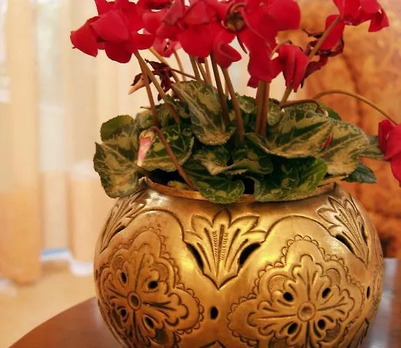 Liberty Отель Катания